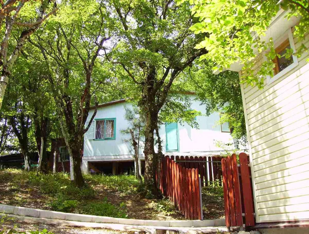 . База отдыха "Бирюза-Юг" . Бетта