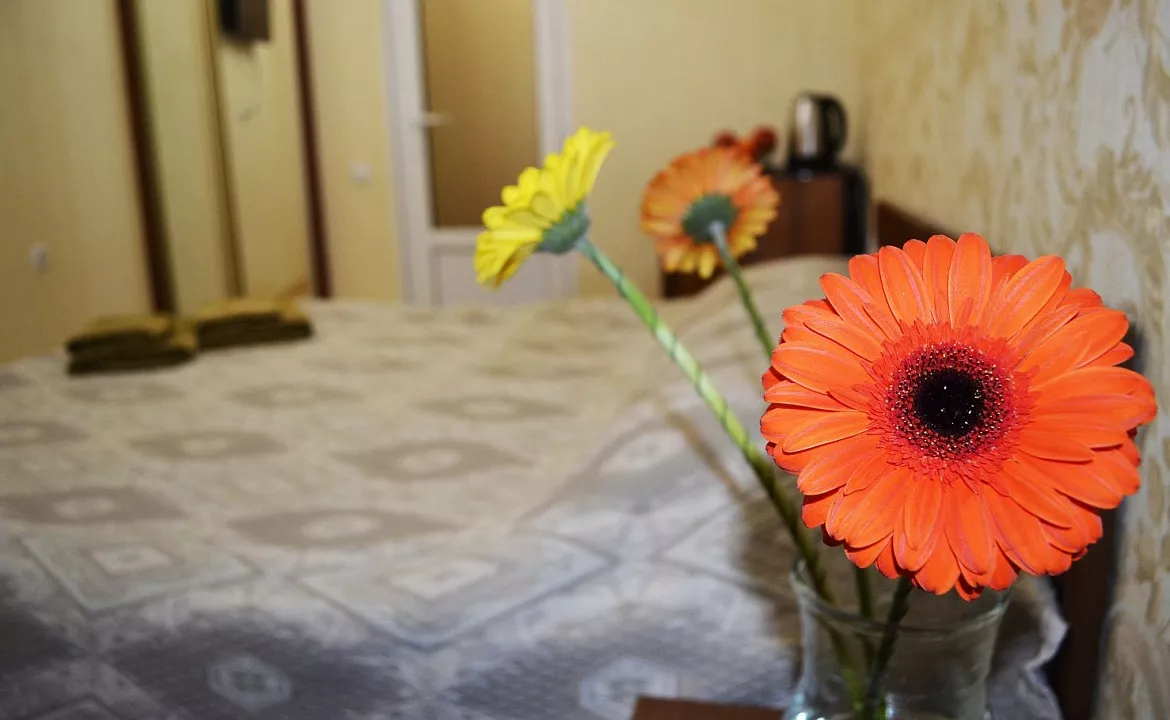 Однокомнатный двухместный . Отель Гостевой дом «У Тещи-2». Феодосия