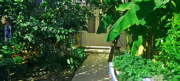 Дом под ключ Яблочко