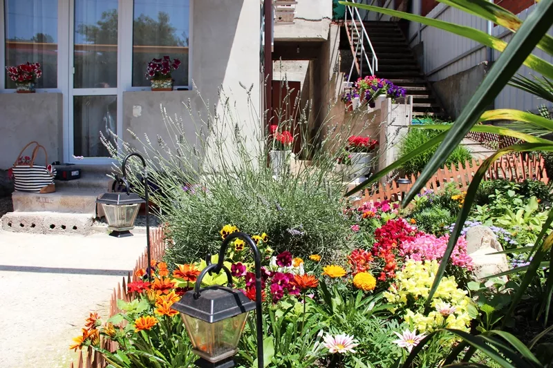 . Гостевой дом "У Елены" . Лазаревское