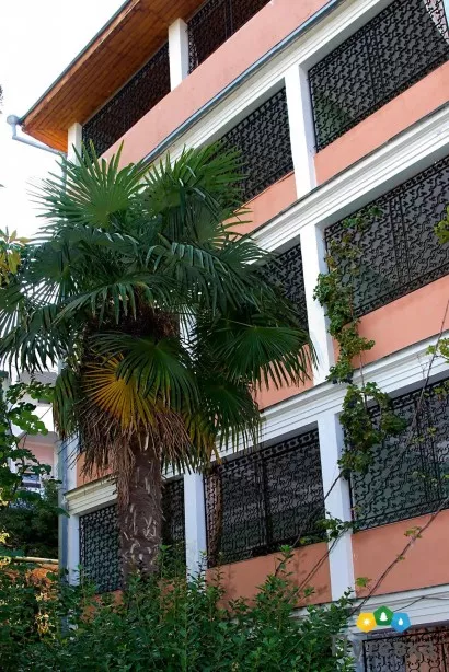 . Пансионат Малахит - Ялта. Ялта