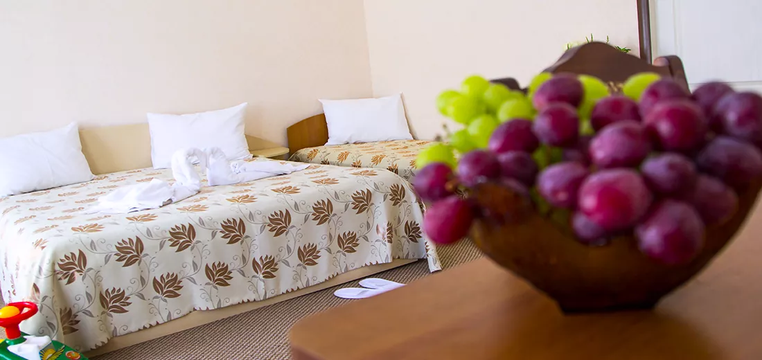 Стандарт 2+2. Пансионат «Ай-Лия». Чайка Стандарт 2+2. Пансионат «Ай-Лия». Чайка