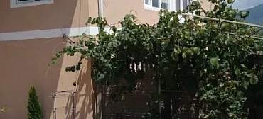 Вилла "У Кота"