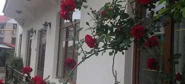 Гостевой дом "Усадьба Арлен"