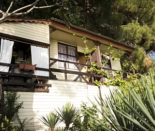 Дом Манича. База отдыха "Сосновый Бор". 