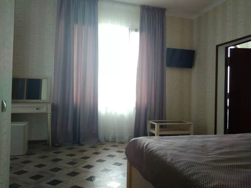 Стандарт. Гостевой дом София-Виктория. Гагра