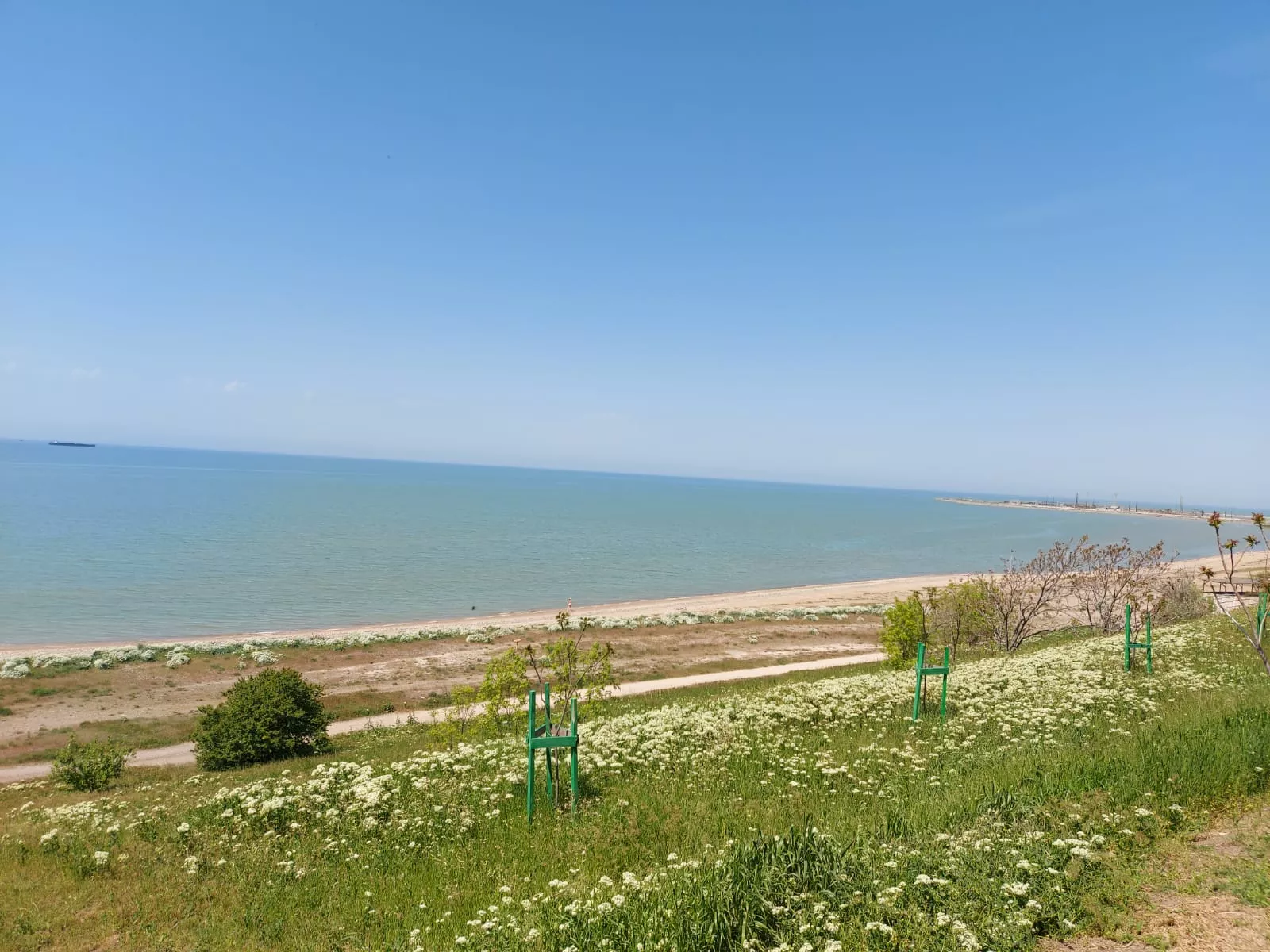 . Гостиница Александровский сад у моря . Ейск