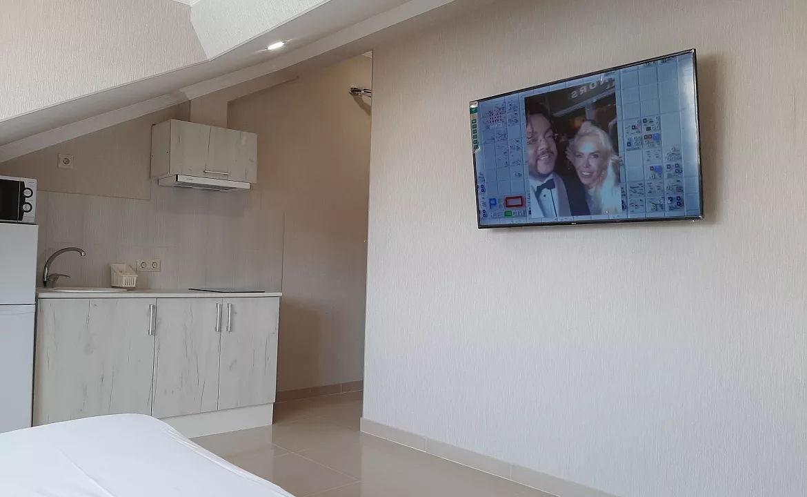 Студия . Гостевой дом Гринго. Адлер