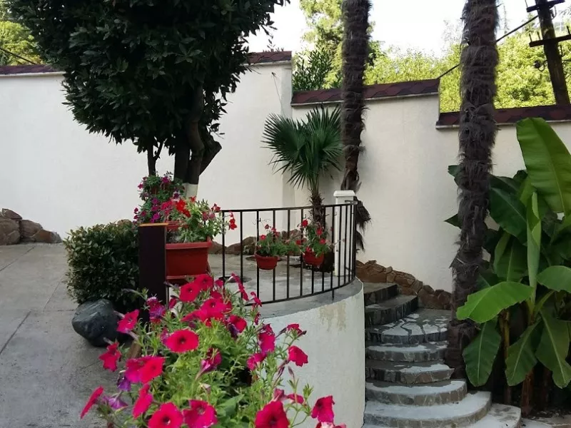 . Дом под ключ Шоссейная 33/1. Хоста