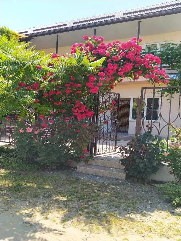 . Гостевой дом "Злата". Голубицкая . Гостевой дом "Злата". Голубицкая