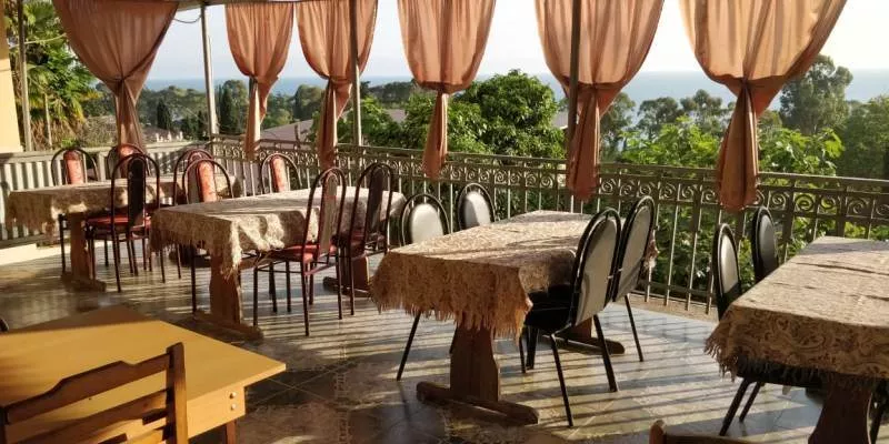 . Гостевой дом "Несник" . Гагра