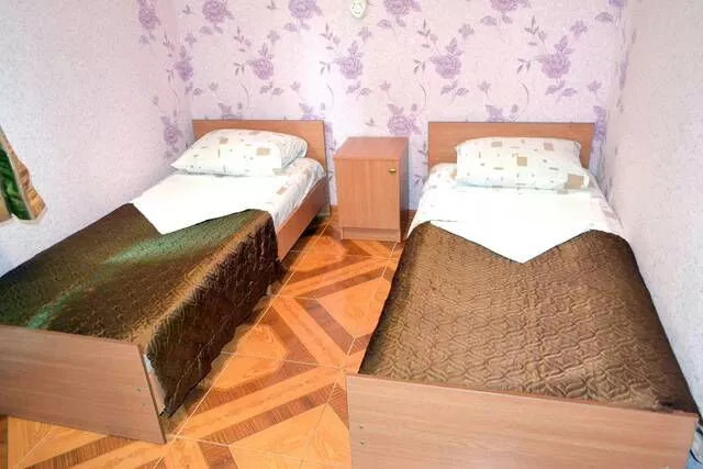 Стандарт 2-х местный. Гостевой дом Светлана. Сочи