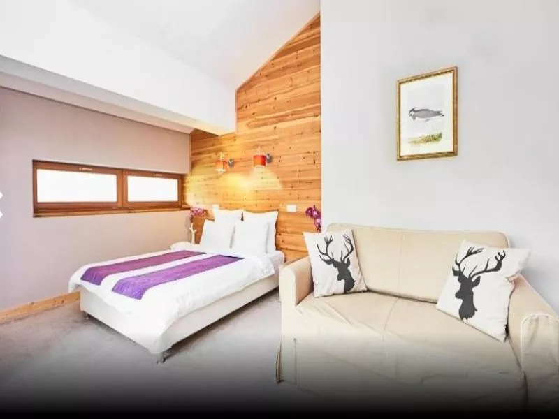 Стандарт. Отель "Резиденция Парк Шале". Красная Поляна