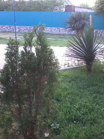 . Частный сектор На Армейской. Архипо-Осиповка