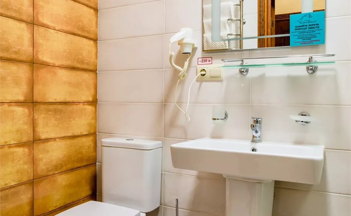 Двухместный стандарт. Отель "Чайковский". Сочи