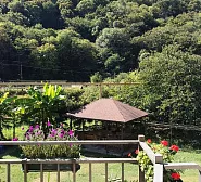 Гостевой дом Зеленый рай Гостевой дом Зеленый рай