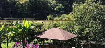 Гостевой дом Зеленый рай