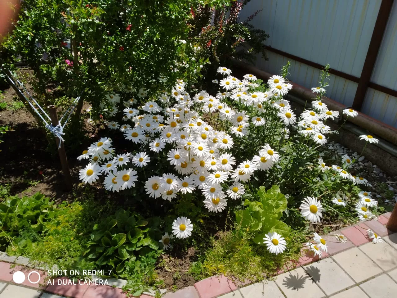 . Частный сектор "На Южной". Архипо-Осиповка