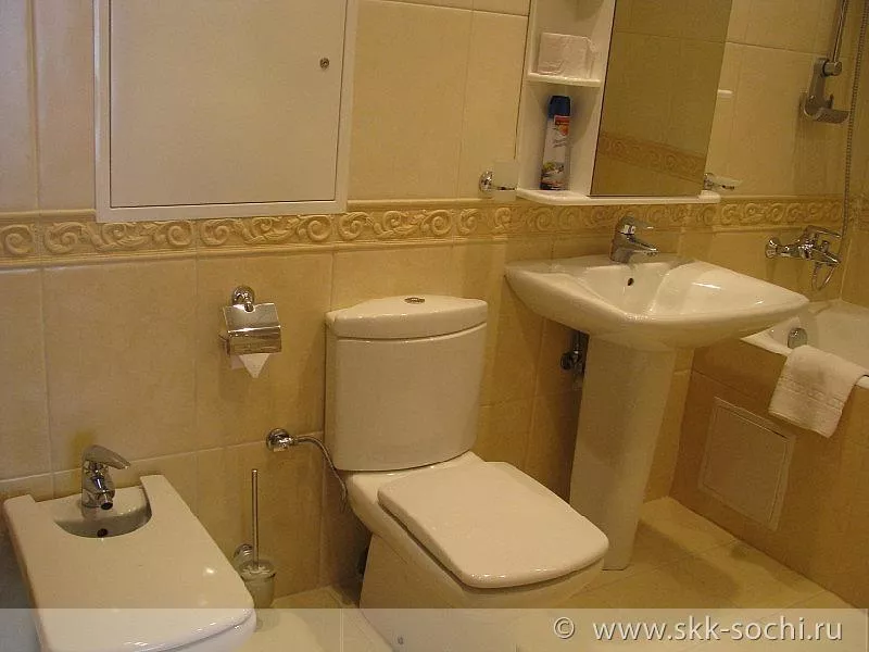 Стандарт. Санаторий Сочинский. Сочи