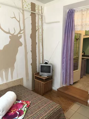 №1. Гостевой дом Семейный - Лазаревское. Лазаревское