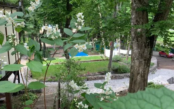 . База отдыха  "Ручеек"     . Джубга