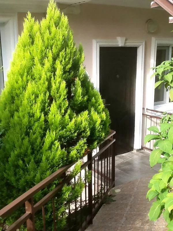 . Гостевой дом "Уютный". Лоо