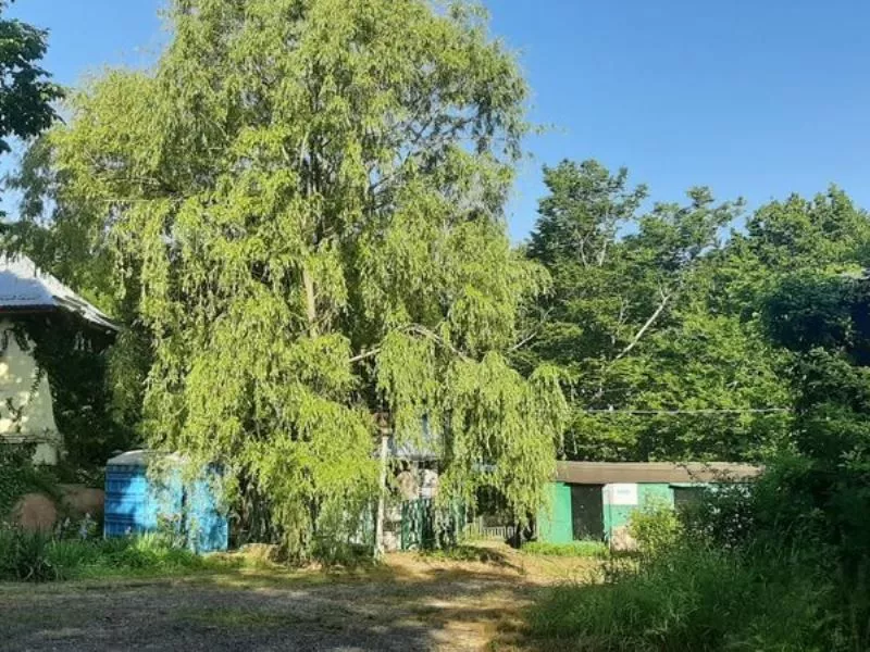 . База отдыха ЛЕТО. Бухта Инал