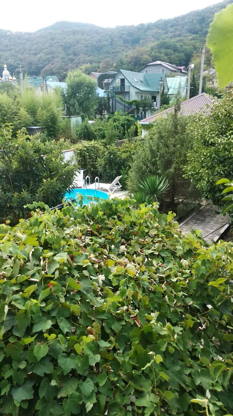 . Гостевой дом "Ростовский дворик". Ольгинка