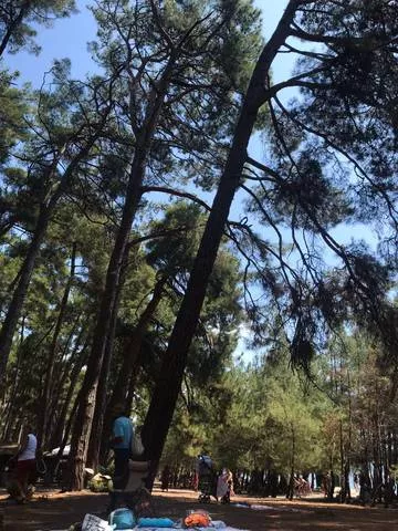 . Отель "Анна". Пицунда