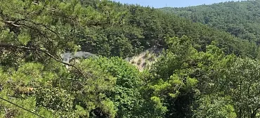 База отдыха "Турбаза Ёлки-палки"