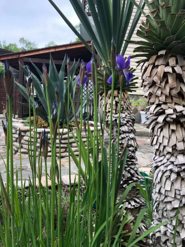 . Гостевой дом "На Ручейной" . Агой