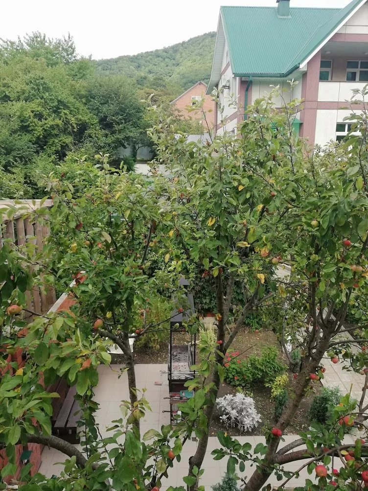 . Гостевой дом "Сибирячка". Ольгинка