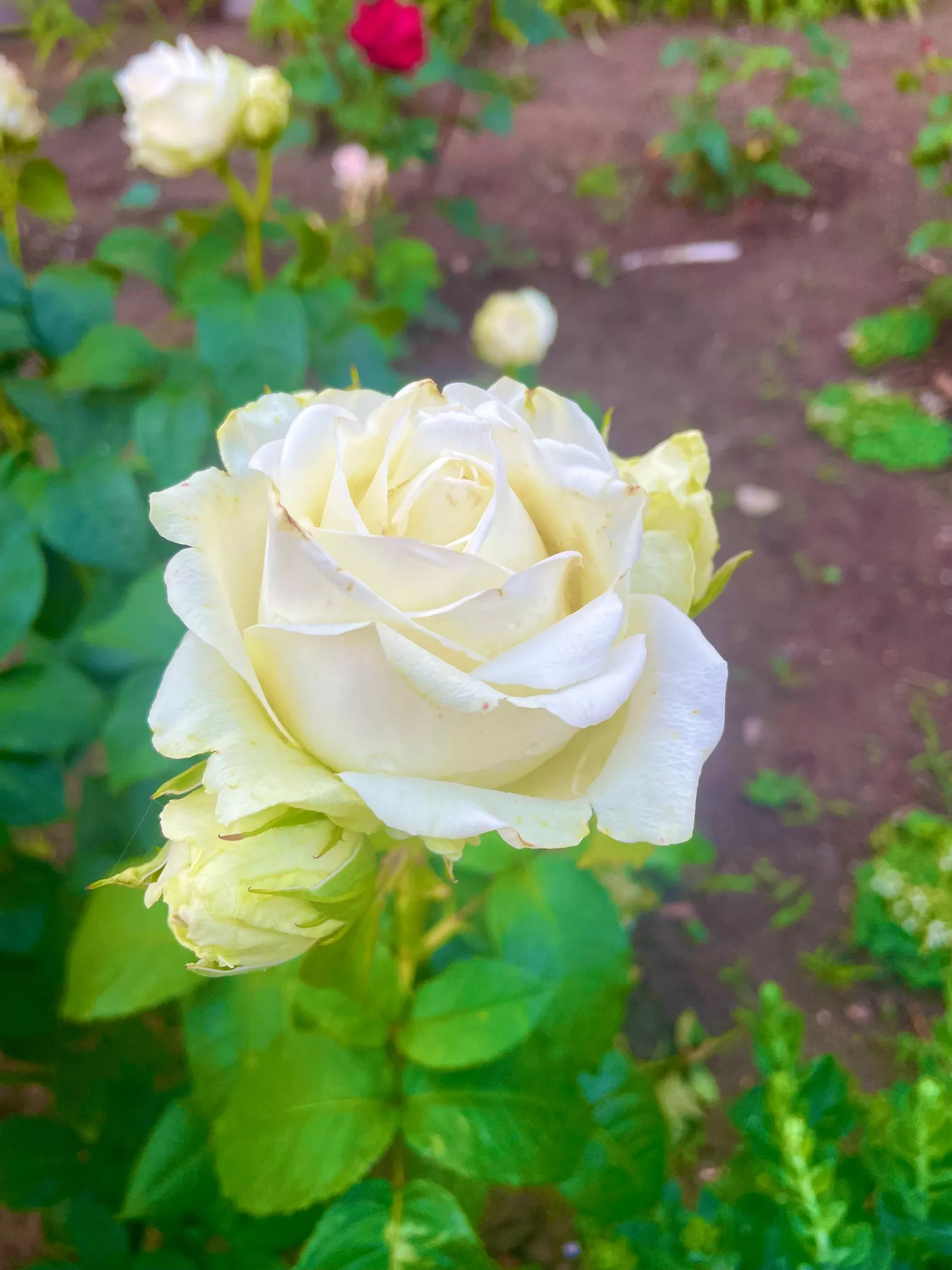 База отдыха  База отдыха