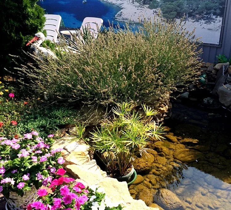 . Частный гостевой дом Белиссимо. Голубицкая . Частный гостевой дом Белиссимо. Голубицкая