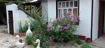 Гостевой дом "Вероника" - Должанская