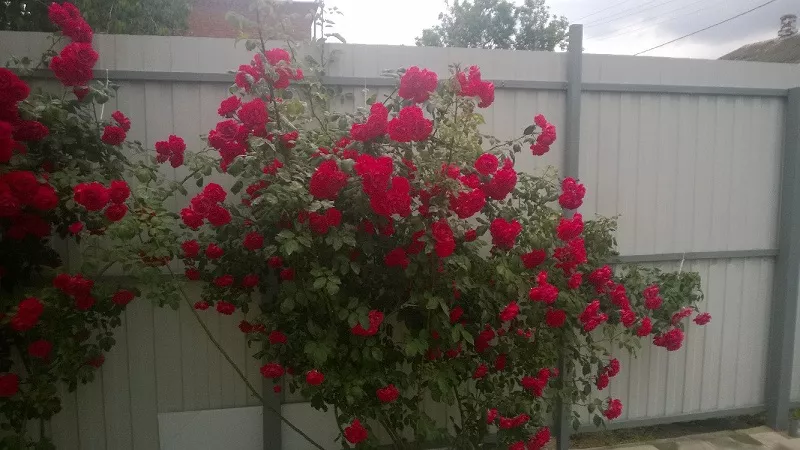 . Дом под ключ Зеленый 6/1. Кучугуры