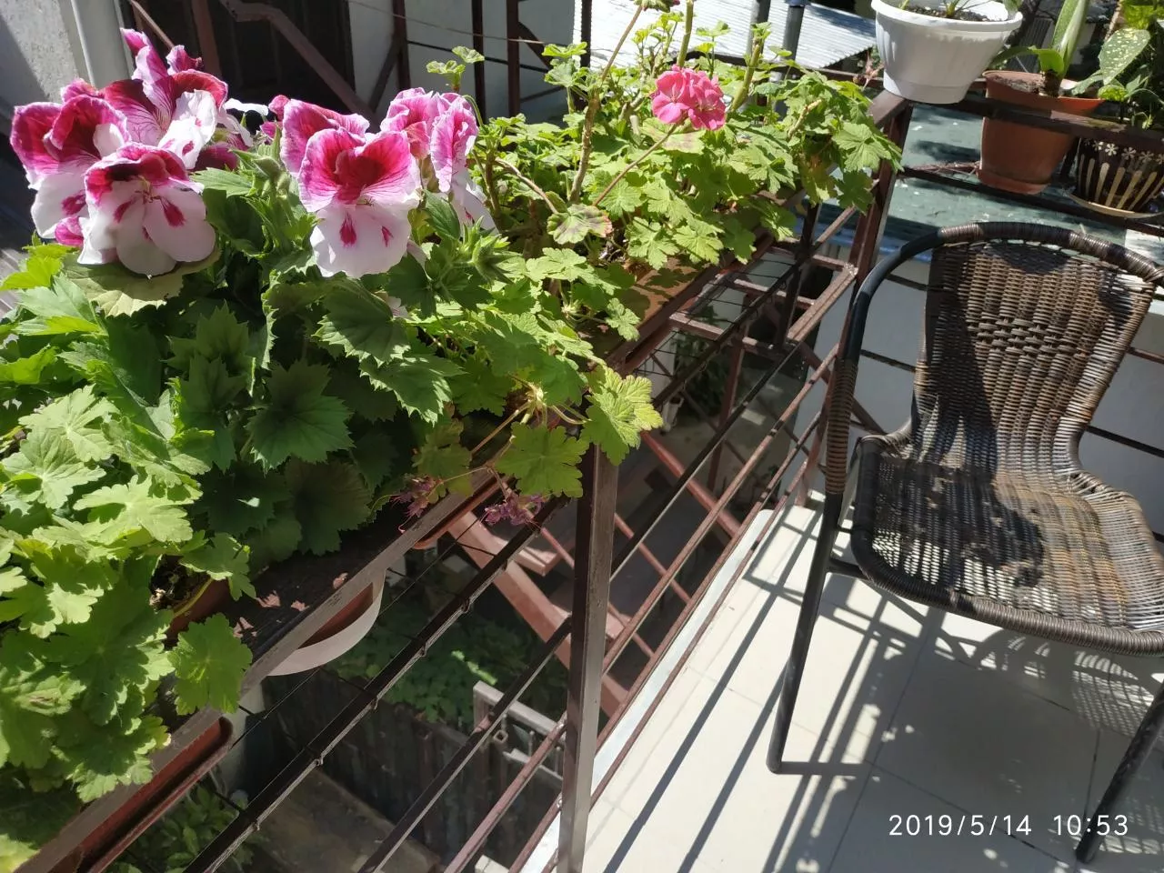 . Частный гостевой дом Ялта. Ялта