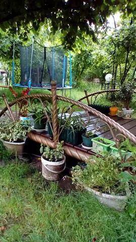 . Гостевой дом Робинзон. Головинка