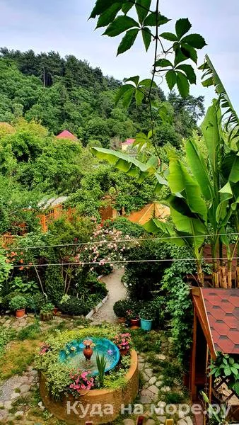 4-местные 1-комнатные апартаменты с кухней. Гостевой дом Алиса - Солоники. Солоники 4-местные 1-комнатные апартаменты с кухней. Гостевой дом Алиса - Солоники. Солоники