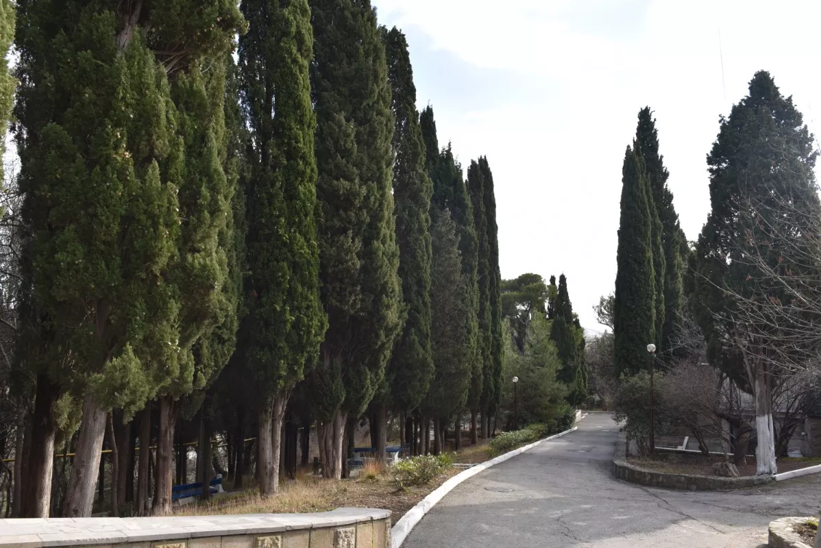 . Пансионат им А.П. Чехова. Ялта