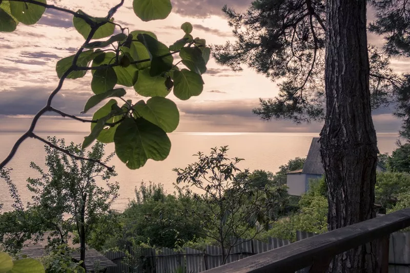 Дом Манича. База отдыха "Сосновый Бор". Чемитоквадже