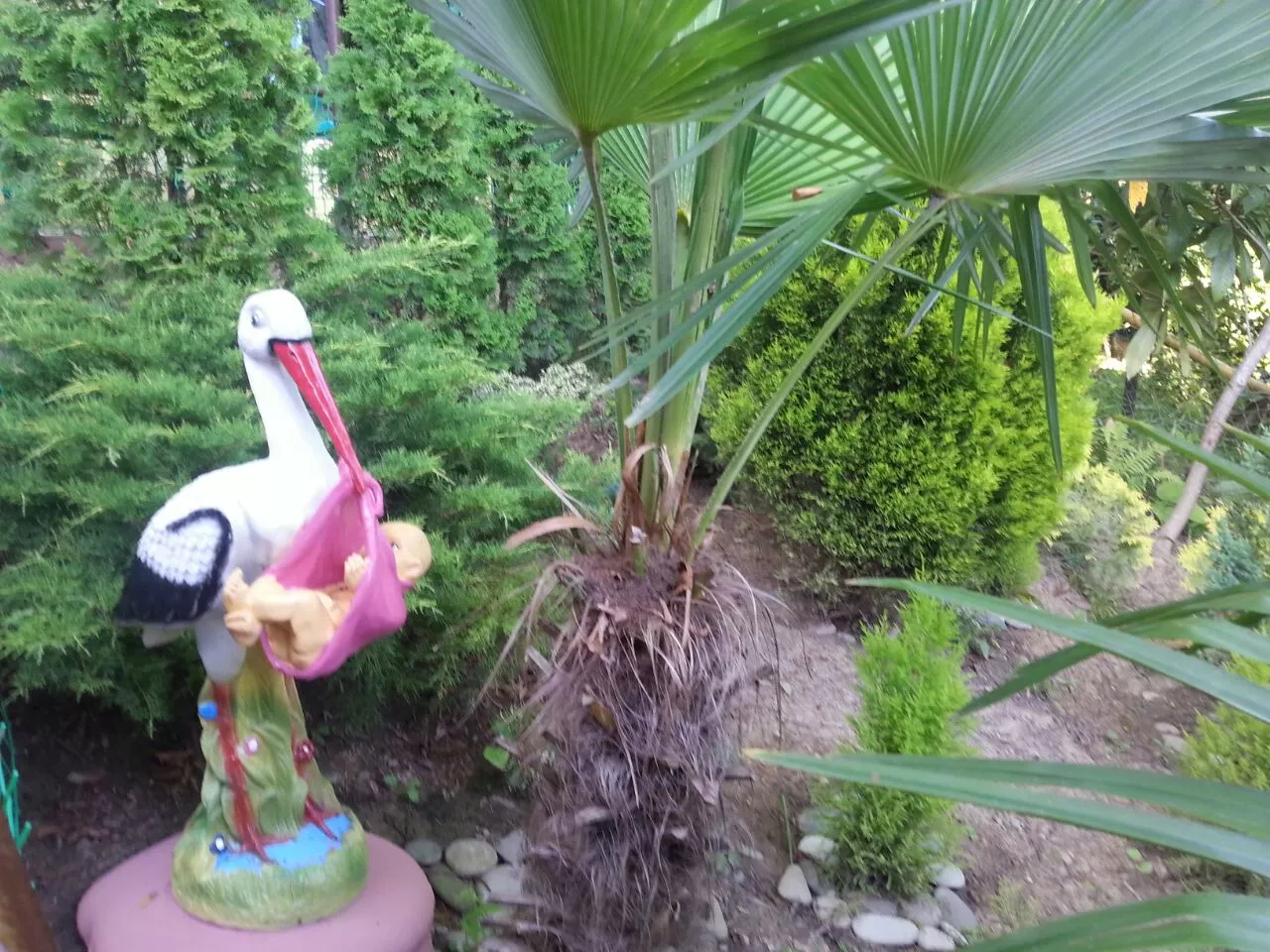 . Частный сектор "Райский уголок" - Хоста. Хоста