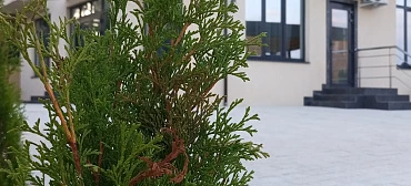 Отель СочиЛето