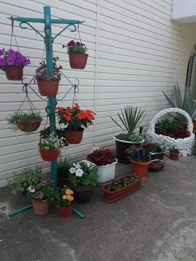 . Гостевой дом «Каравелла». Лермонтово . Гостевой дом «Каравелла». Лермонтово