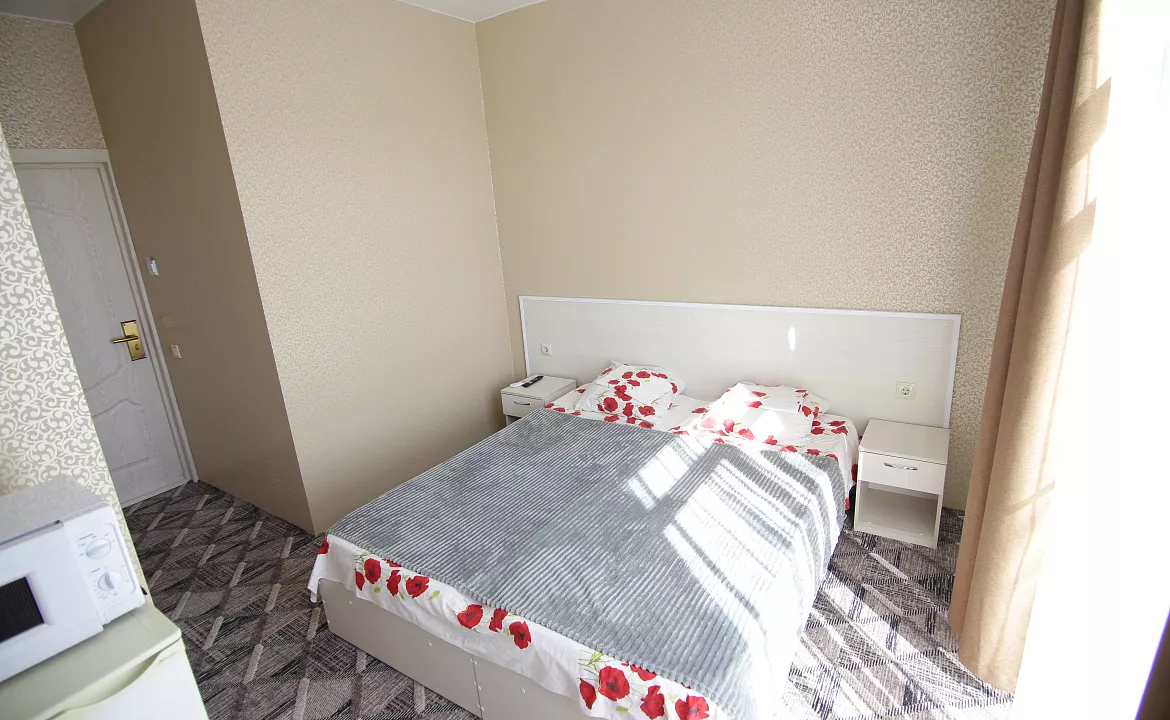 Апартаменты студия с террасой на 2-х человек. Гостевой дом "МЕЛИС". Дивноморское