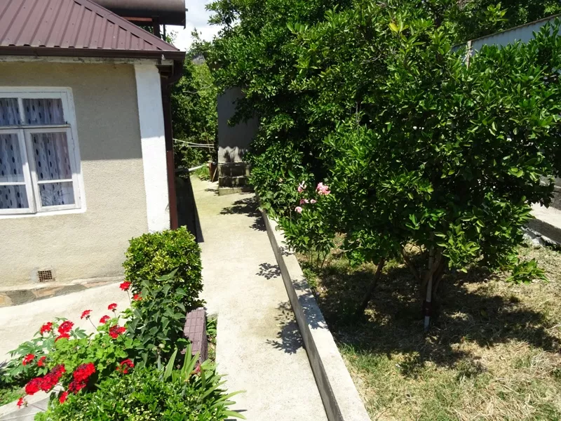 . Частный сектор  "Кове 30" в Гудауте. Гудаута