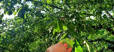 Частный сектор ул. Имама Шамила, 59