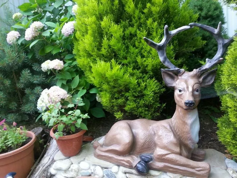 . Частный сектор "Райский уголок" - Хоста. Хоста