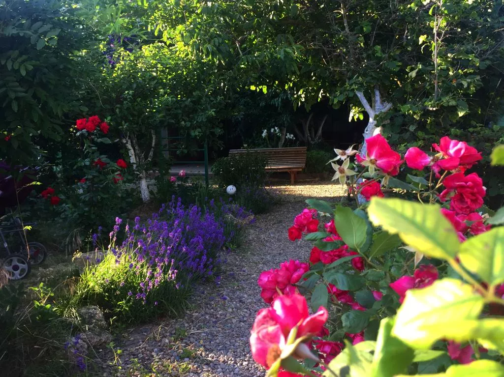 . Частный сектор "АБСОЛЮТ". Благовещенская . Частный сектор "АБСОЛЮТ". Благовещенская