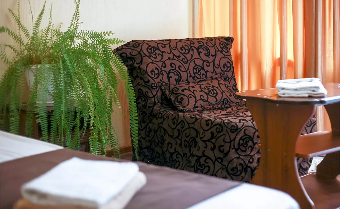 Стандарт двухместный с креслом. Гостевой дом «Алоиза». Лоо